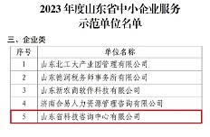 公司入選山東省中小企業(yè)服務示范單位