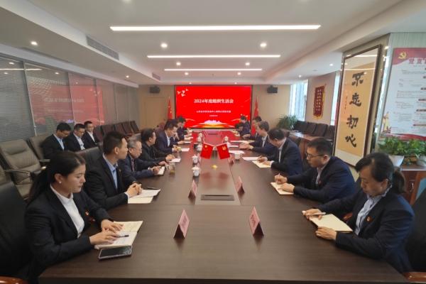 集團(tuán)黨委書記、董事長董火民到科技咨詢中心指導(dǎo)2024年度組織生活會(huì)